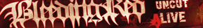 Banner - Bloodforce Feschd